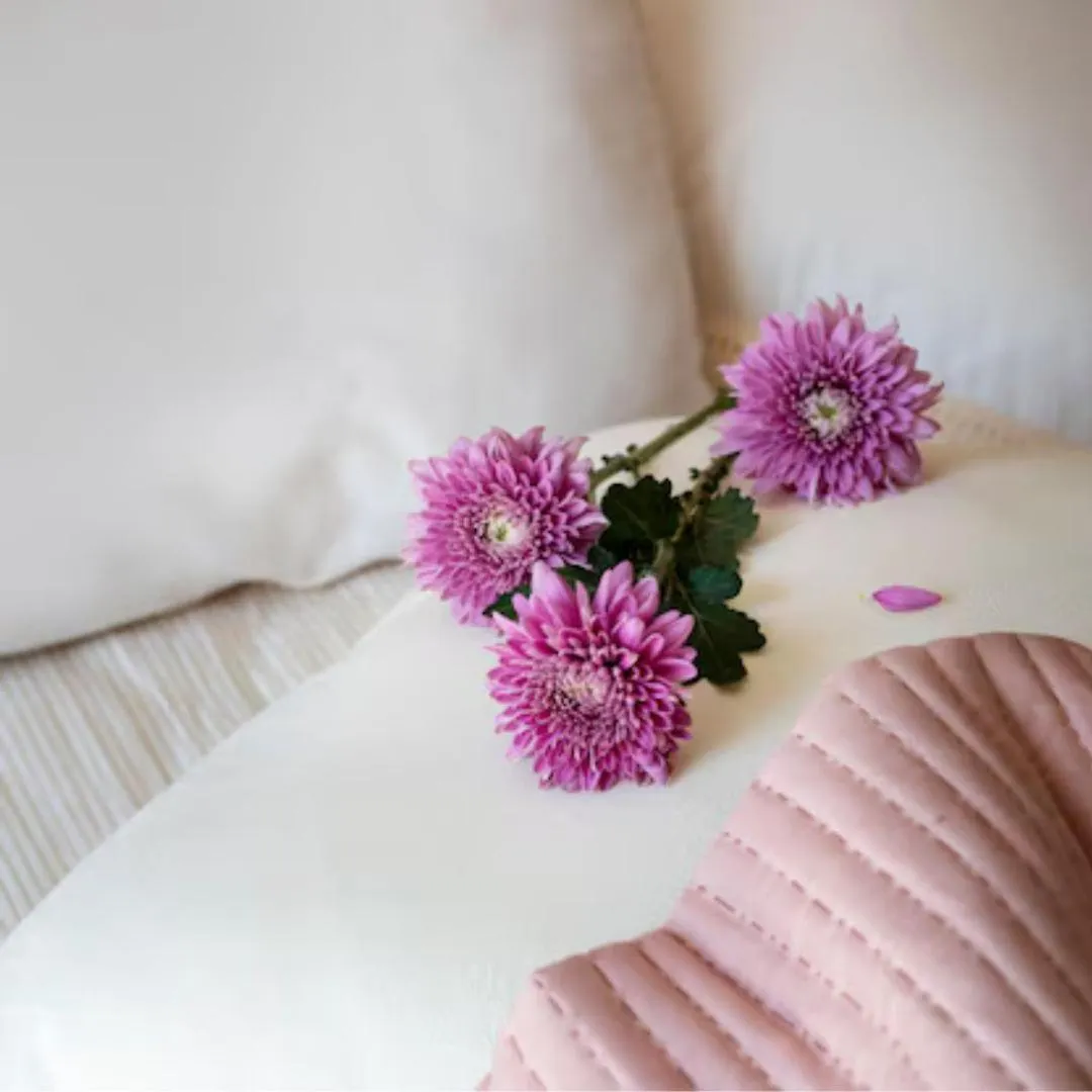 Hotel Loveit - Roma - Piazza Della Maddalena 0*,  Italia